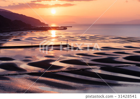 奧科科海岸 奧科科海岸 31428541