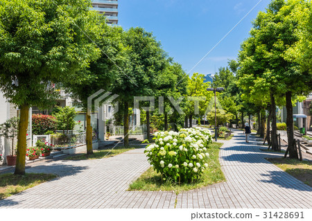 A quiet residential area	 31428691