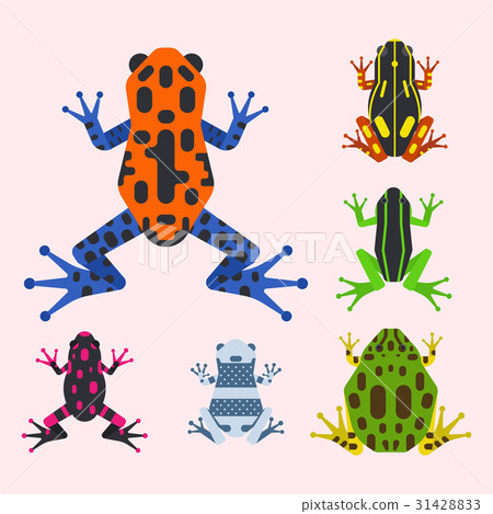 Frog cartoon tropical animal cartoon amphibian - Stock Illustration ...