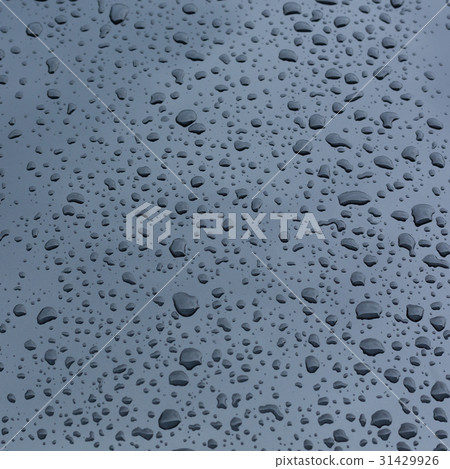 rain drops on car with coating protection skin 31429926
