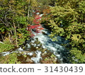 Autumn leaves of Akan Takimi Bridge 31430439