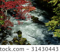 Autumn leaves of Akan Takimi Bridge 31430443