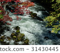Autumn leaves of Akan Takimi Bridge 31430445