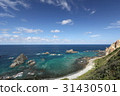 Shimowakezigo coast 31430501