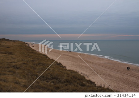海岸 31434114