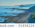 青島海床隆起，致畸畸形痕跡 31434124