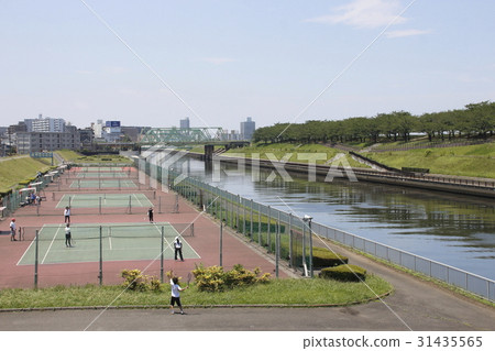 新荒川大橋(新川川) 新荒川大橋(新川川) 31435565
