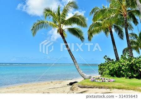 Holidays in Hawaii 31435643