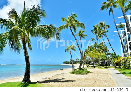 Holidays in Hawaii 31435645