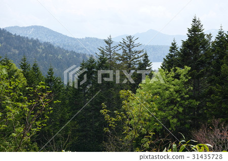 Ozen-Numazama Pass Observatory希望Ozenuma和佛山 Ozen-Numazama Pass Observatory希望Ozenuma和佛山 31435728