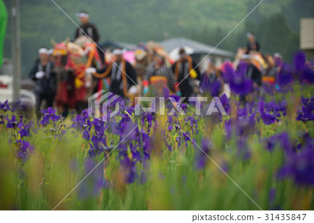 Ayame and Chagu-chag horses 31435847