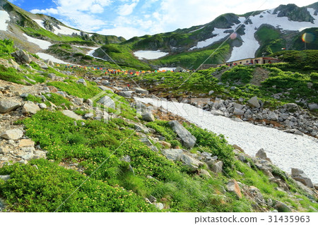 夏天的北阿爾卑斯山·Yezawa露營地 31435963
