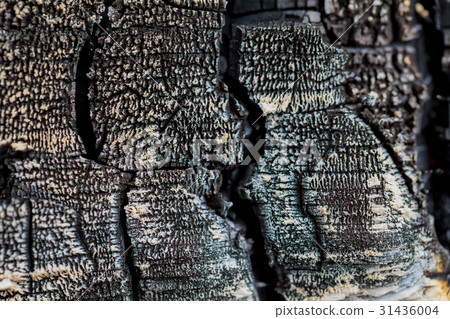 Burnt wood background texture Burnt wood background texture 31436004