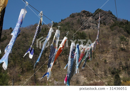 鯉魚登山 鯉魚登山 31436051