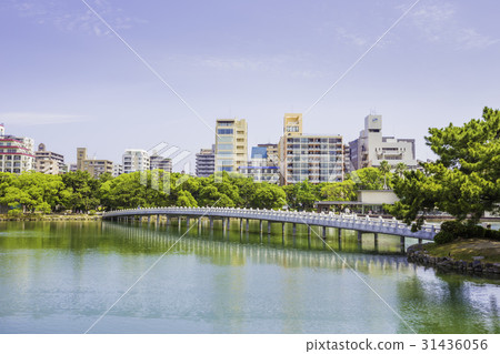 Oasis park of water and green Oasis park of water and green 31436056