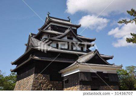 松江城堡城堡塔 松江城堡城堡塔 31436707