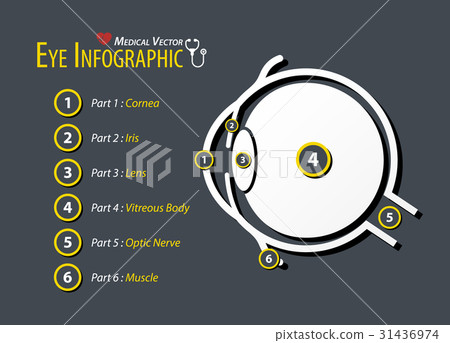 Eye infographic . Flat design . 31436974