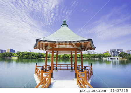 綠洲公園的水和綠色 31437226