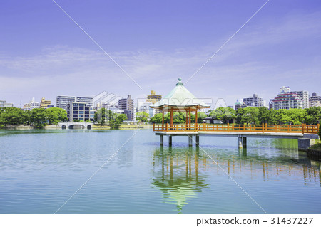 綠洲公園的水和綠色 31437227