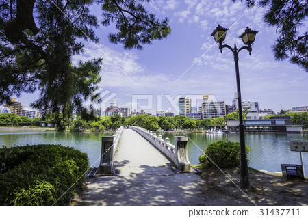 Oasis park of water and green 31437711