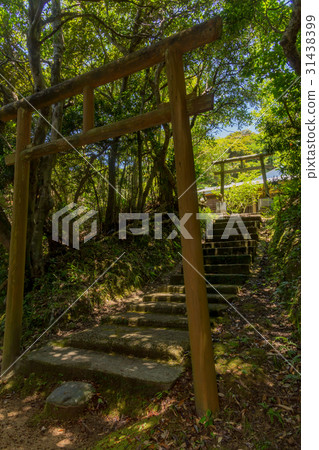 Gamosaki觀光公園 Gamosaki觀光公園 31438399