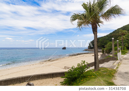 大浜海濱公園 31438708