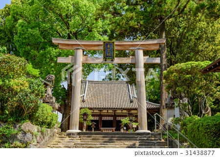 Wakamiya Shrine Naoyuko Shrine Wakamiya Shrine Naoyuko Shrine 31438877