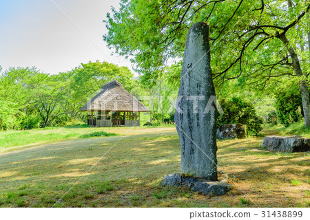 Kagirohi no Oka Manyo Park 31438899