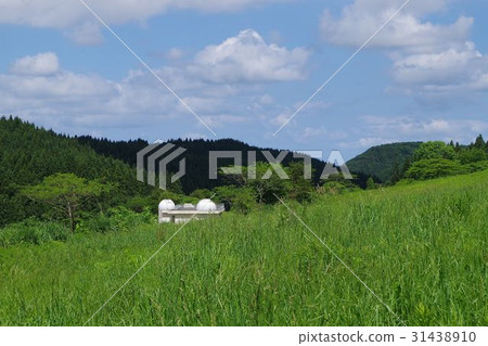 Polar Star · Kamiori 31438910