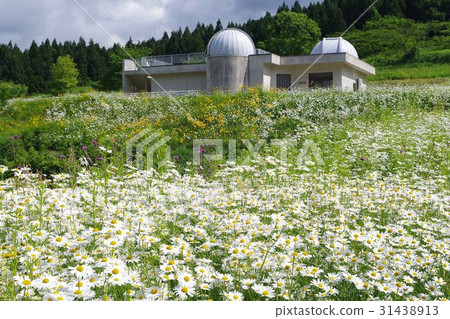 Polar Star · Kamiori 31438913