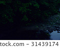 螢火蟲在清澈的溪流中跳舞（3） 31439174
