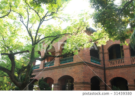 Red Hair Castle Red Hair Castle 31439380