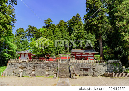 春日神社 31439551