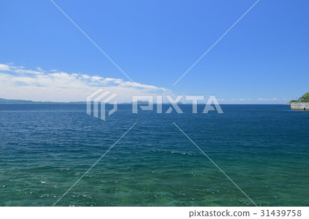 Sea · blue sky 31439758