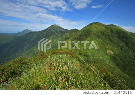 從Mt. Omoteshi,Nakanodake和Hachihama看到的Rakucho山 從Mt. Omoteshi,Nakanodake和Hachihama看到的Rakucho山 31440116