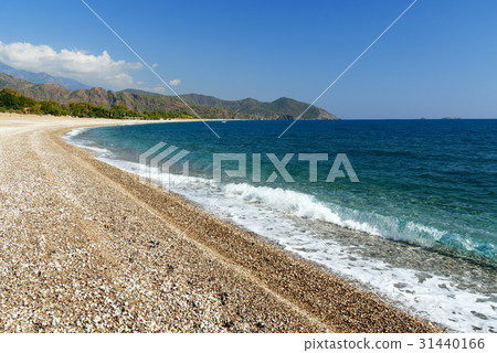 Cirali beach. Turkey Cirali beach. Turkey 31440166