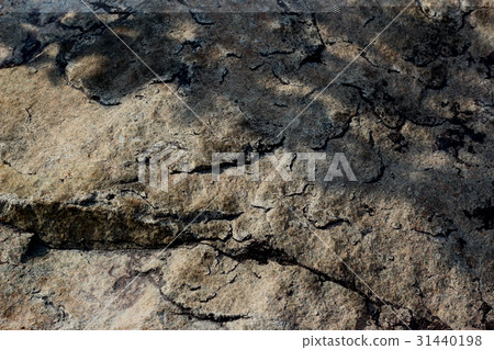 Rough rough skin 31440198