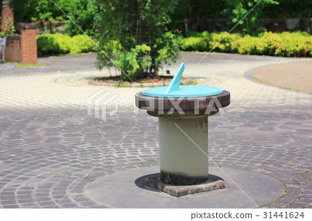 Early summer park 31441624