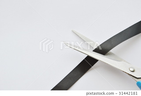 scissors blade cutting black cloth ribbon  31442181