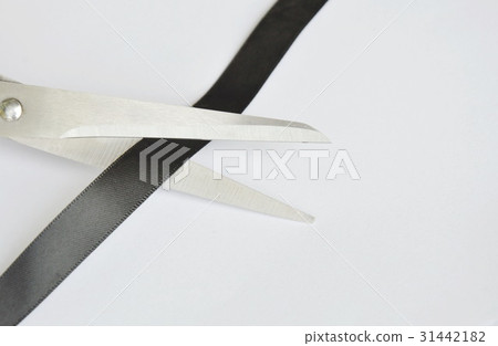 scissors blade cutting black cloth ribbon scissors blade cutting black cloth ribbon 31442182