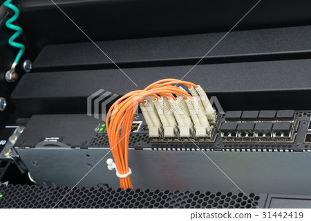 Network switch and fiber optic cable 31442419