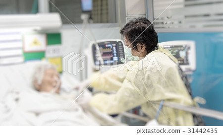 Patient relative taking care of the elder patient Patient relative taking care of the elder patient 31442435