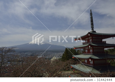 Mt. Fuji and the Chastan Tower · Shinagurayama Asama Park (Yamanashi Prefecture) Mt. Fuji and the Chastan Tower · Shinagurayama Asama Park (Yamanashi Prefecture) 31442444