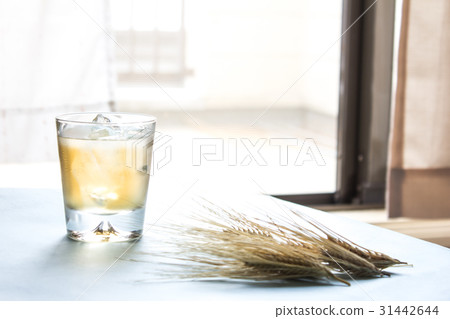小麥棕色 小麥棕色 31442644