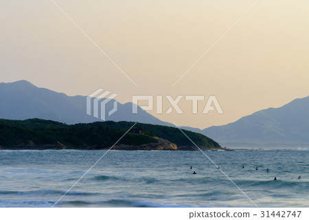 福岡縣若松區Iwaya海岸的夜景 31442747