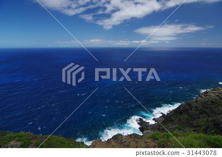 夏威夷海角Makapuu風景 夏威夷海角Makapuu風景 31443078