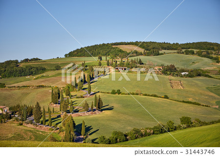 Panoramic view of a Italian landscape. Panoramic view of a Italian landscape. 31443746