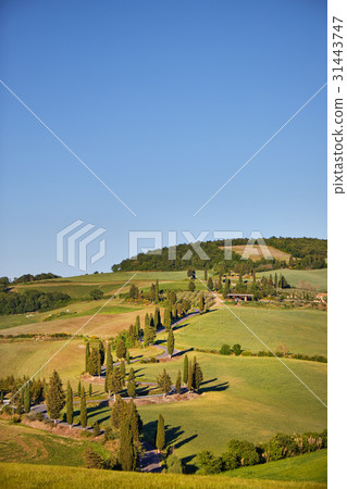 Panoramic view of a Italian landscape. Panoramic view of a Italian landscape. 31443747
