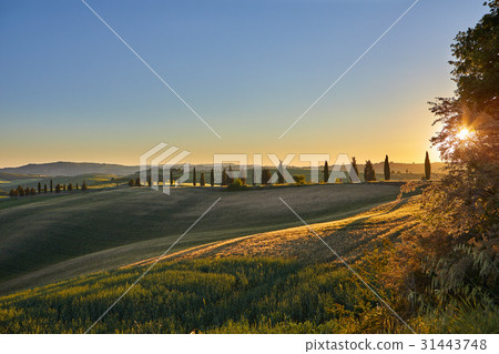 Panoramic view of a Italian landscape. Panoramic view of a Italian landscape. 31443748