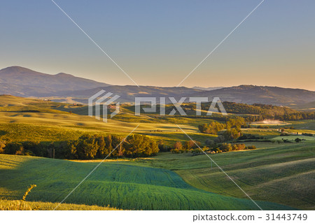 Panoramic view of a Italian landscape. Panoramic view of a Italian landscape. 31443749
